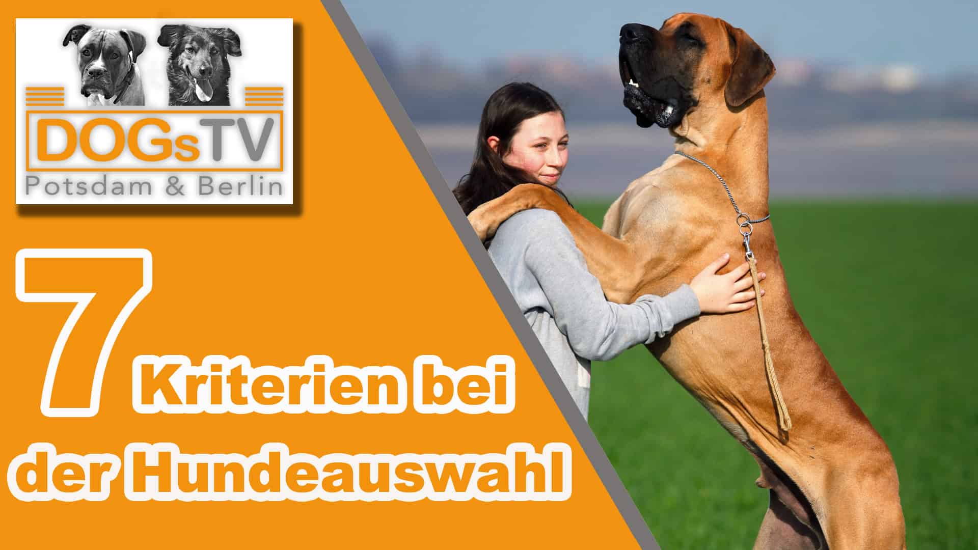 Welcher Hund passt zu mir? 7 Kriterien zur Auswahl des Hundes - Thumpnail Youtube