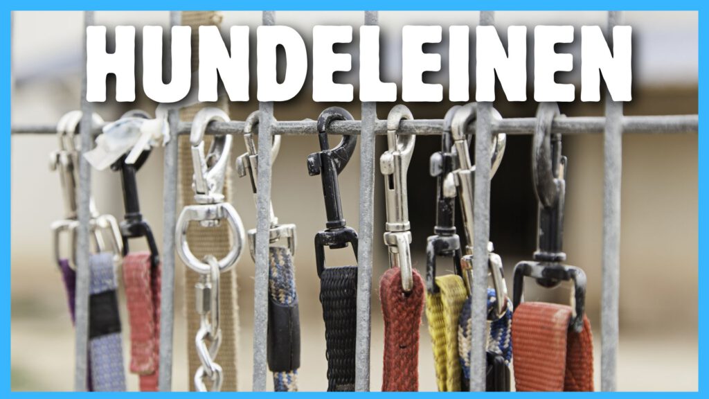 Hundeleinen