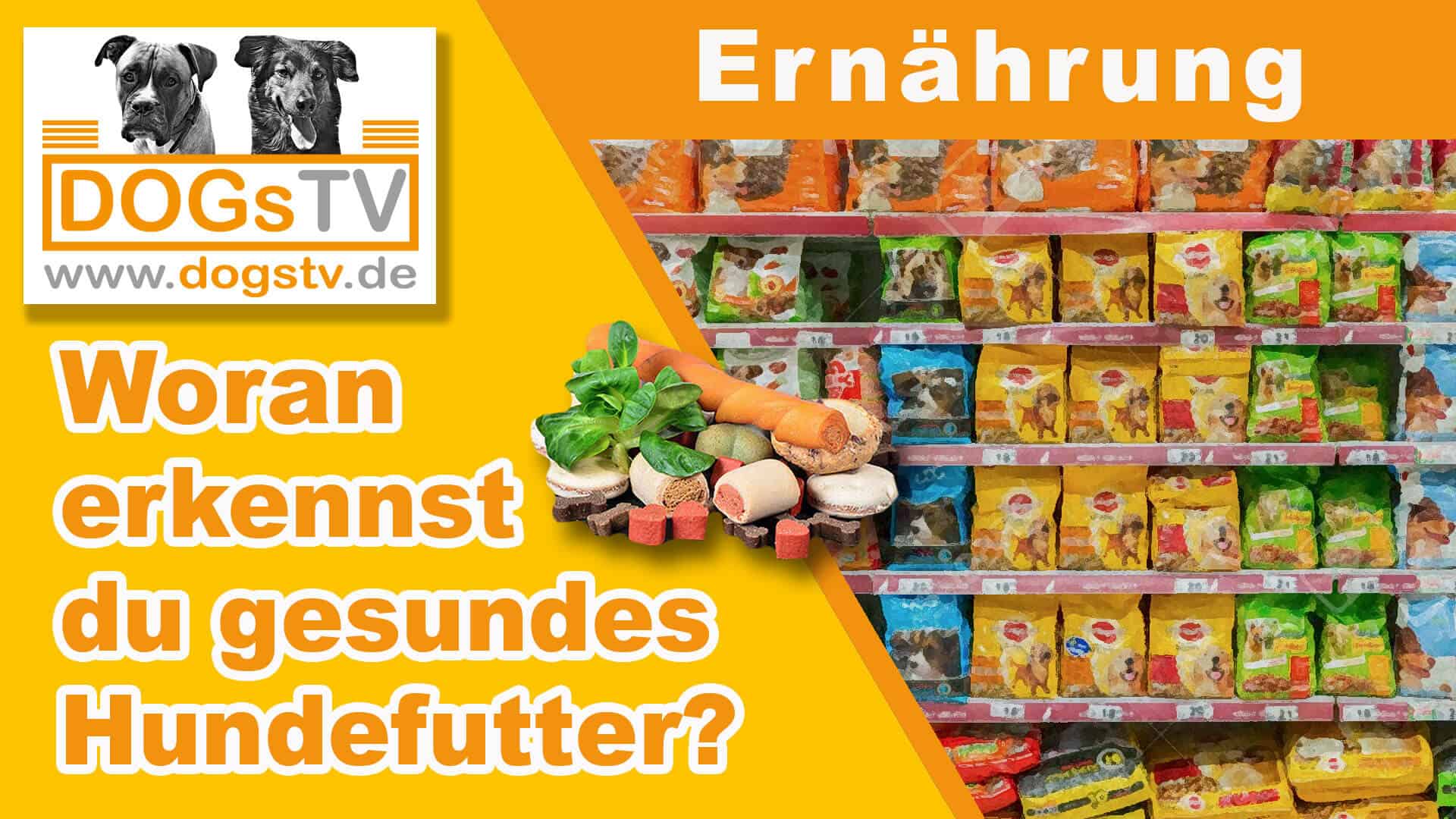 Trockenfutter für Hunde - Trockenfutter HunD
