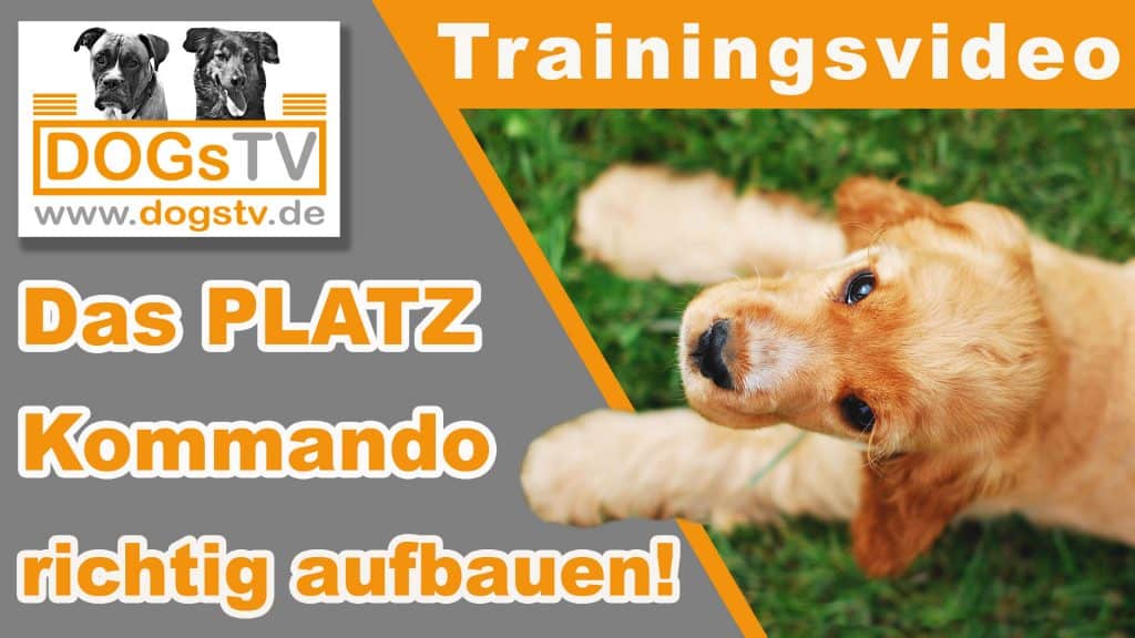 kommando platz aufbauen dogstv