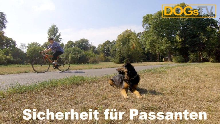 platz-auf-distanz-fahrrad-vorbei-lassen-dogstv