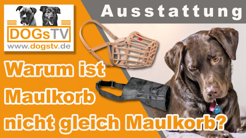 maulkorb hund dogstv