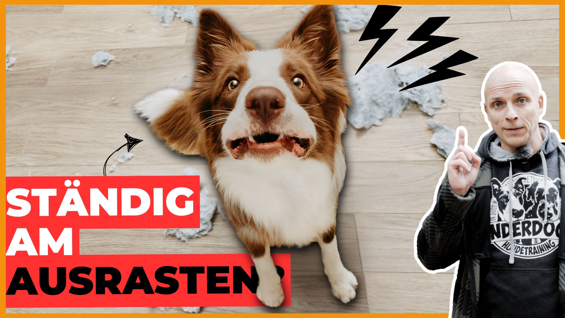 Frustrationstoleranz beim Hund: Warum dein Hund ausrastet - DogsTV  Hundewelt