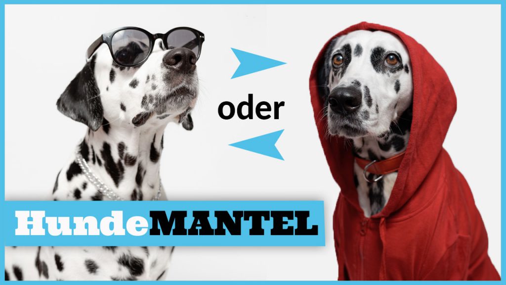 wintermantel für hunde hundemantel dogstv