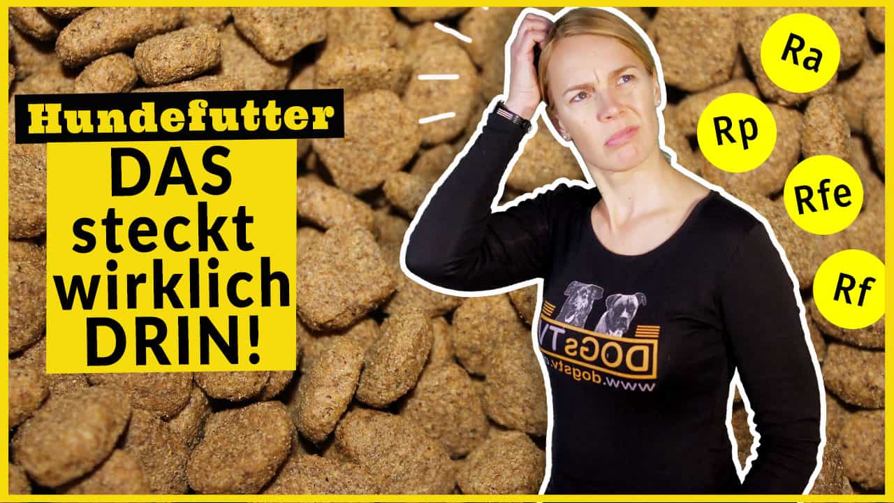 Hundefutter / Analytische Bestandteile verstehen / Rohprotein und Co -  DogsTV Hundewelt