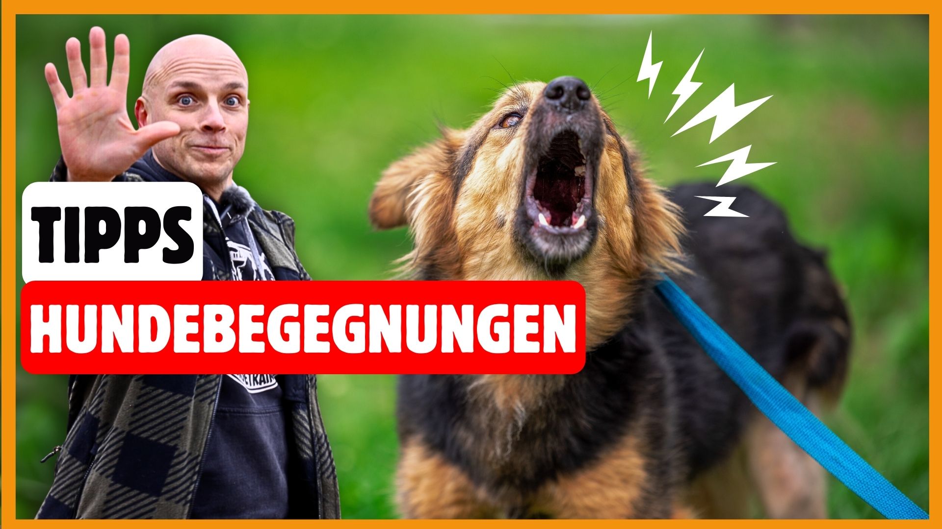 Martin Rütter Hundebegegnungen An Der Leine Hundebegegnungen an der Leine meistern - 5 wichtige Tipps