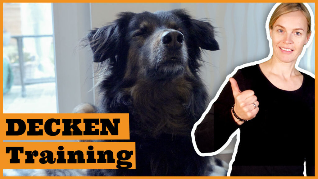 deckentraining hund dogstv