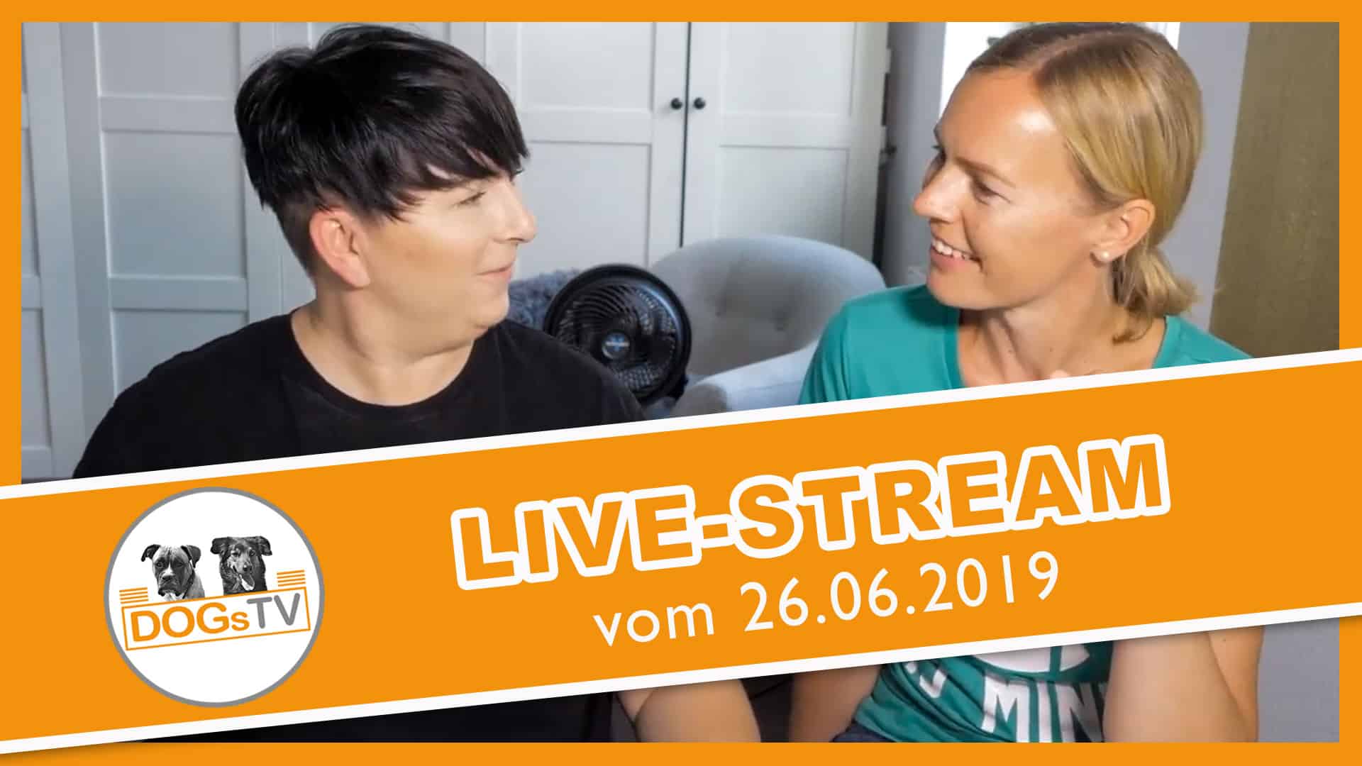 Livestream Youtube Dogstv Online Hundetraining