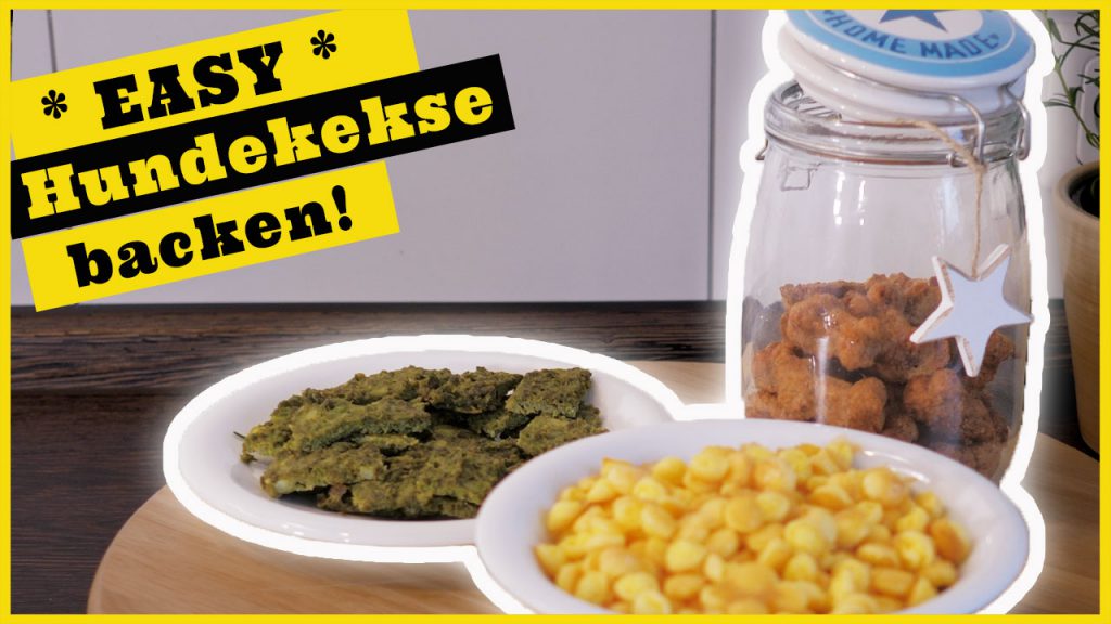 hundekekse backen rezepte fuer hundekekse dogstv