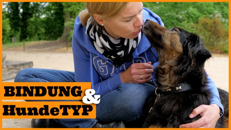 Bindung zum Hund aufbauen I Die Persönlichkeit des Hundes einschätzen