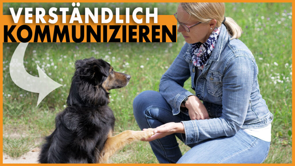 kommunikation hund dogstv