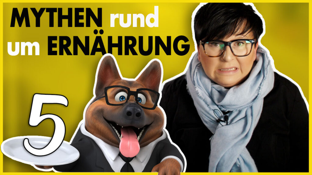 artgerechte ernährung hund füttern dogstv