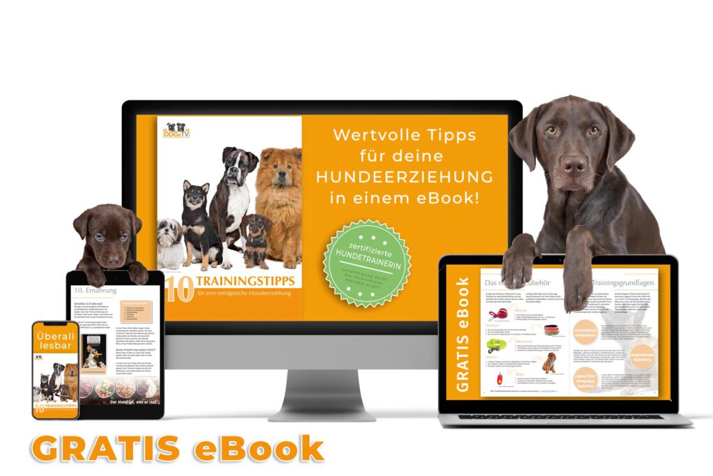 hundeerziehung ebook dogstv