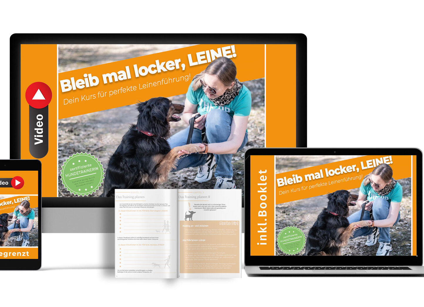 Hund Anspringen abgewöhnen 3 Methoden, die das Anspringen stoppen