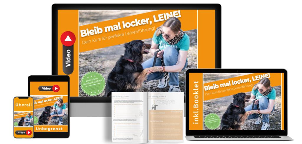 Kurs_Devices_Schmal