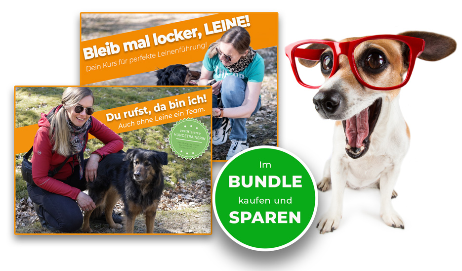 Bundle Kurse