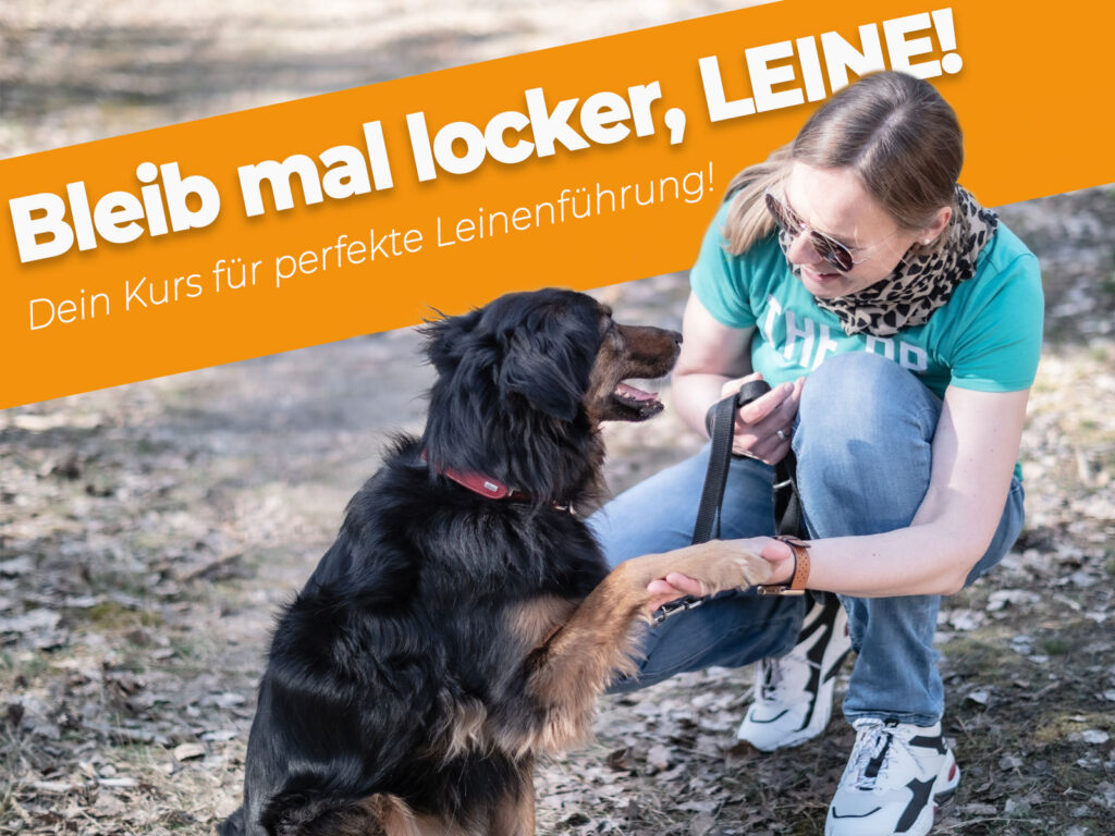 kurs leinenführigkeit dogstv