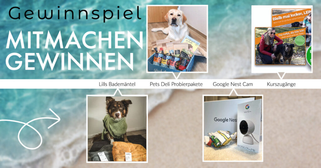 Sommergewinnspiel