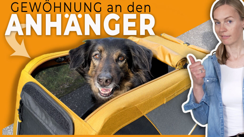 hund fahrradanhänger