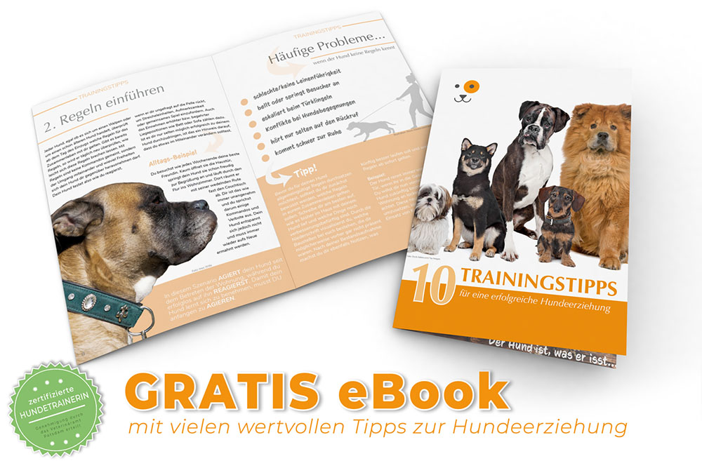 Hundetraining-Tipps-Gratis-Ebook