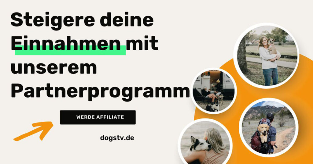 DOGsTV Partnerprogramm BAnner