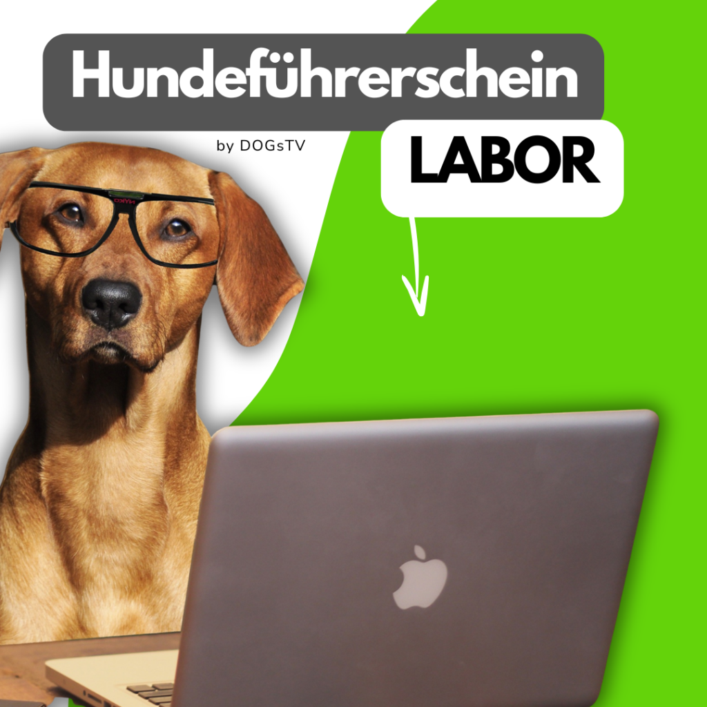 hfs-labor-produktbild