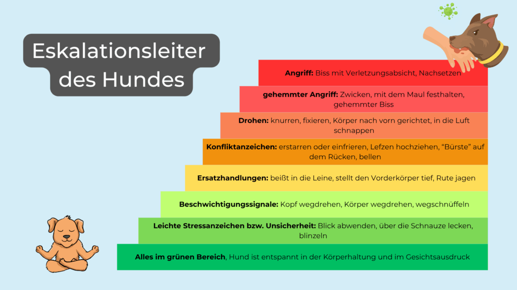 Eskalationsleiter des Hundes