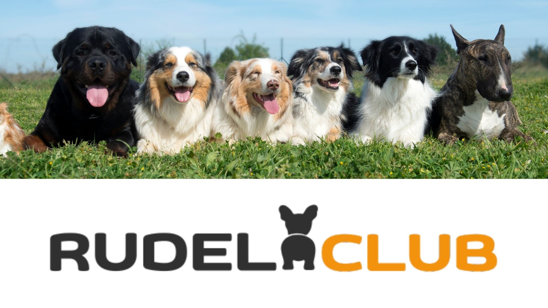 Rudel Club Banner