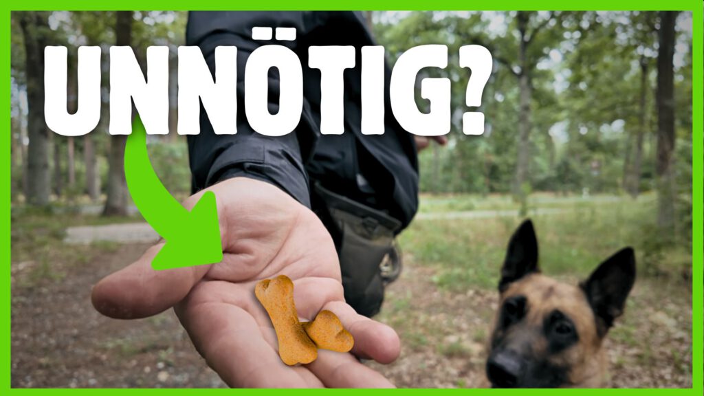 hund belohnen dogstv