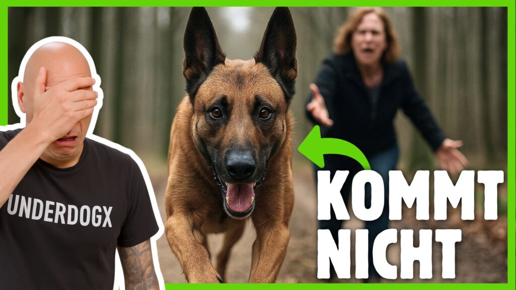 Rückruf Fehler dogstv