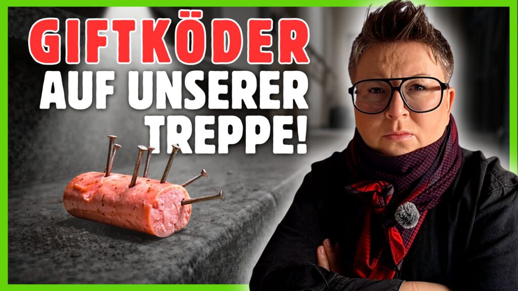 giftköder hunde dogstv