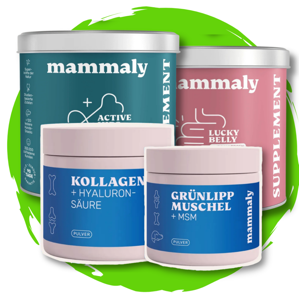 mammaly supplements hüftdysplasie hund