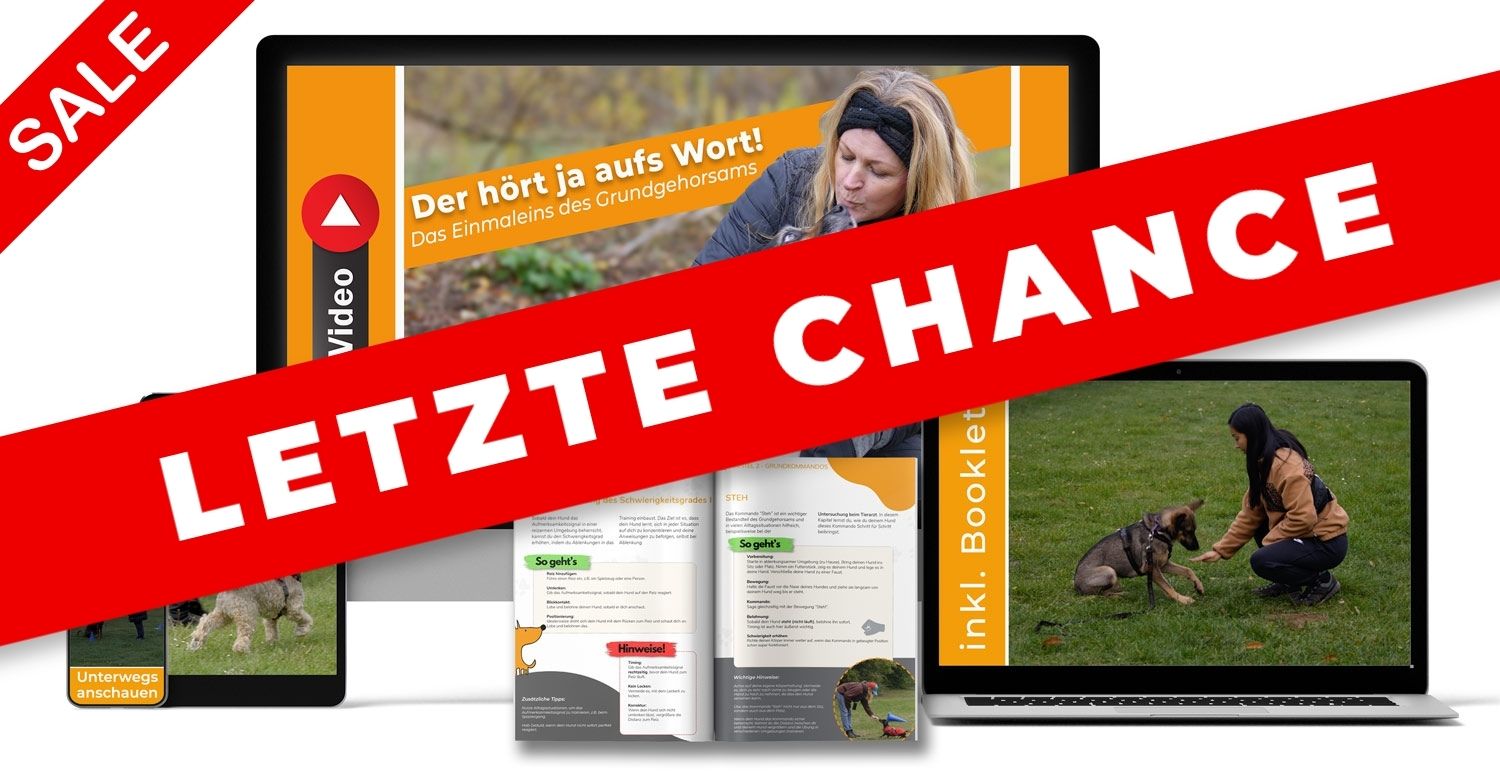 Online Kurs