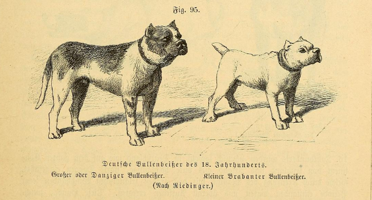 ausgestorbene Hunderassen