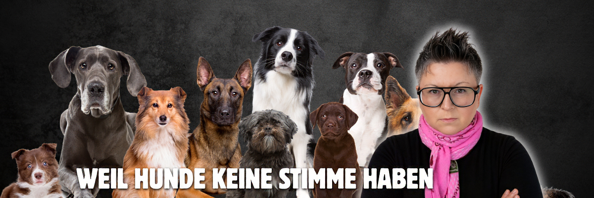 dogstv hundewelt