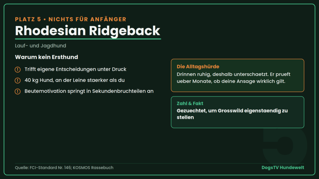 schwierige Hunderassen ridgeback