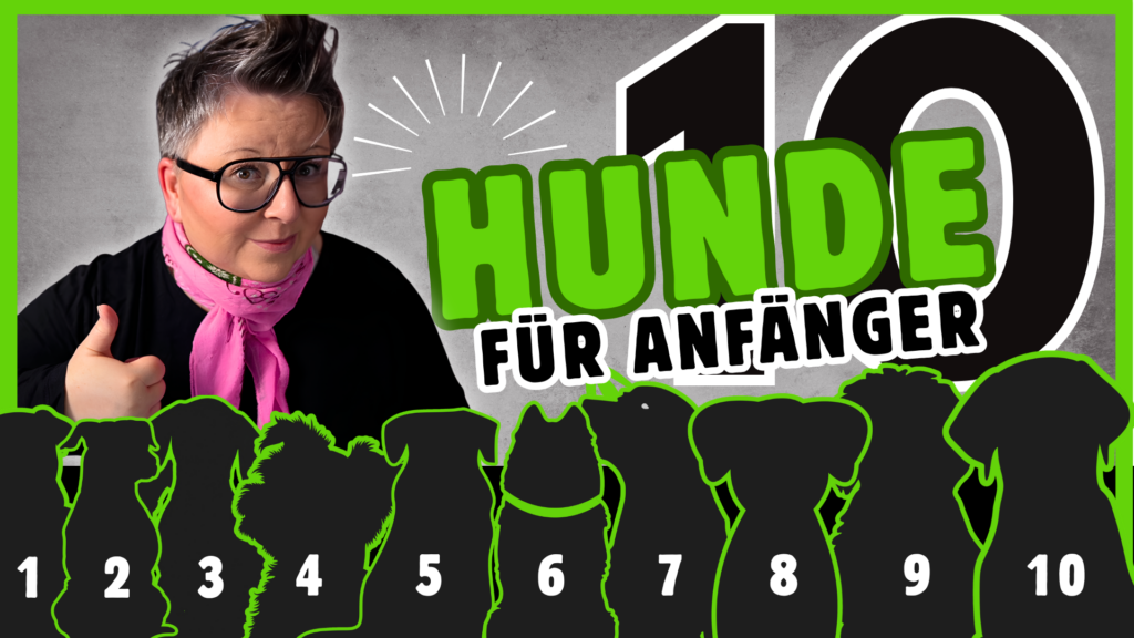 anfaengerhunde dogstv