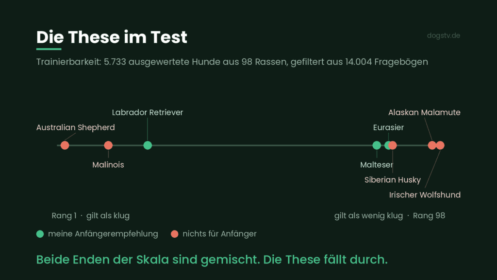 dumme hunderassen these test