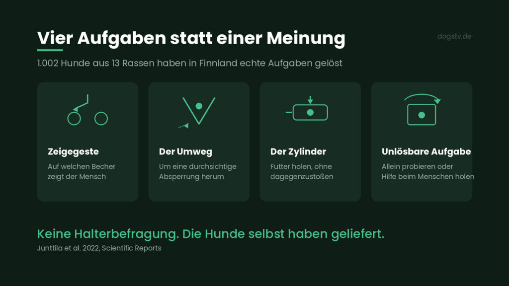 aufgaben für hunde