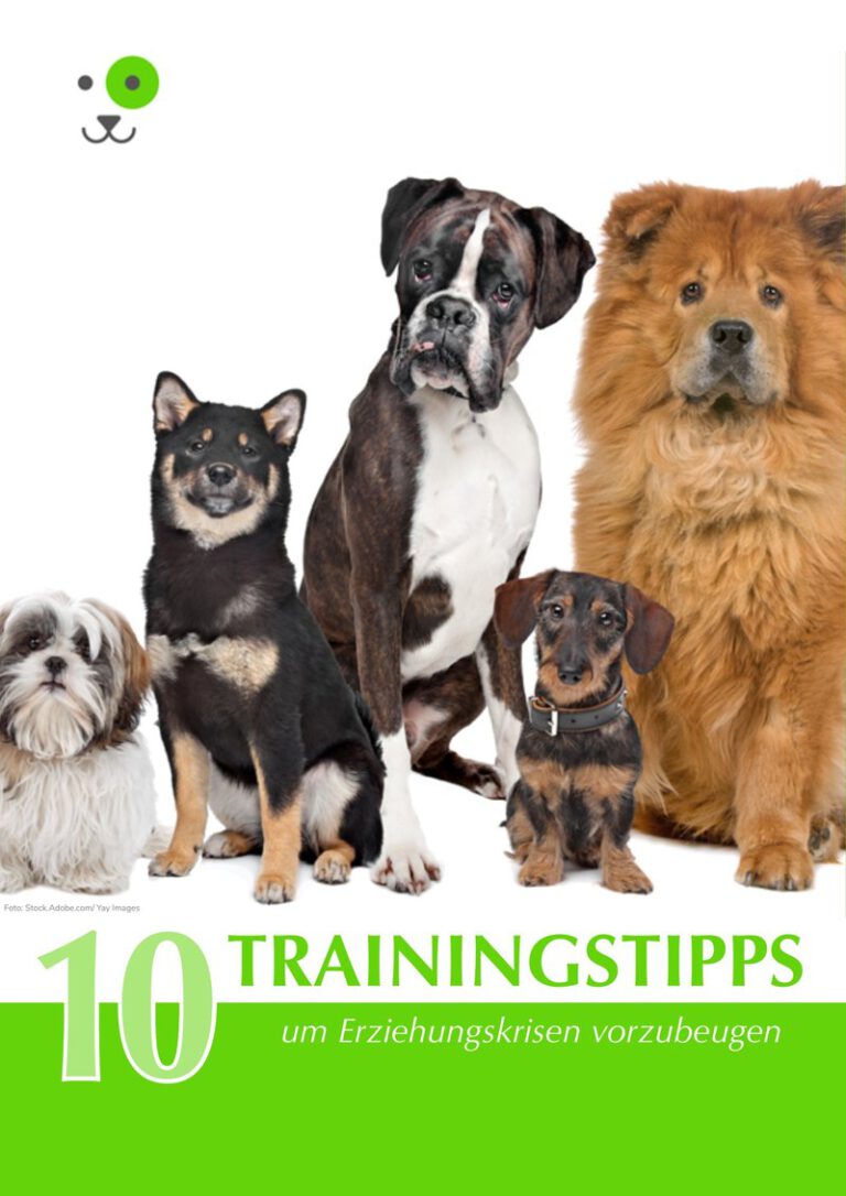 e-Book Trainingstipps dogstv