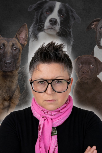 ines wille dogstv