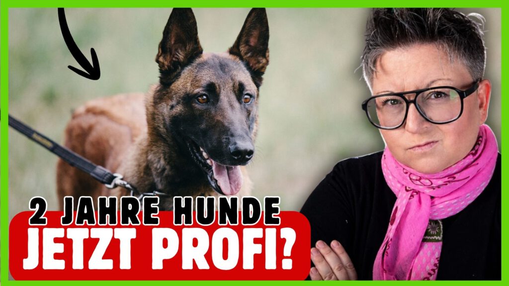 Hundeanfänger bis Profi