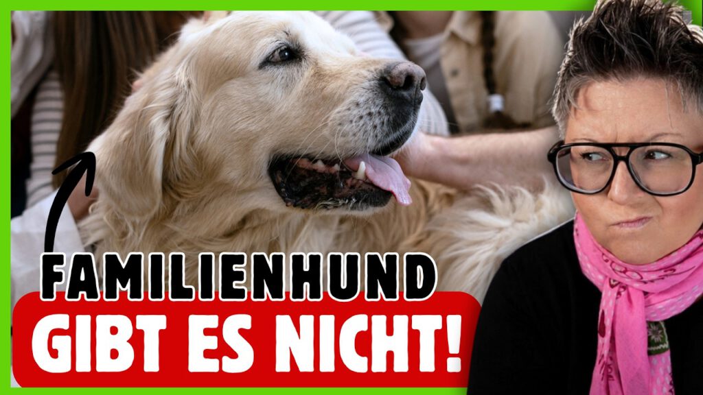 Bester Familienhund? Warum ich dir keine Rasse empfehle