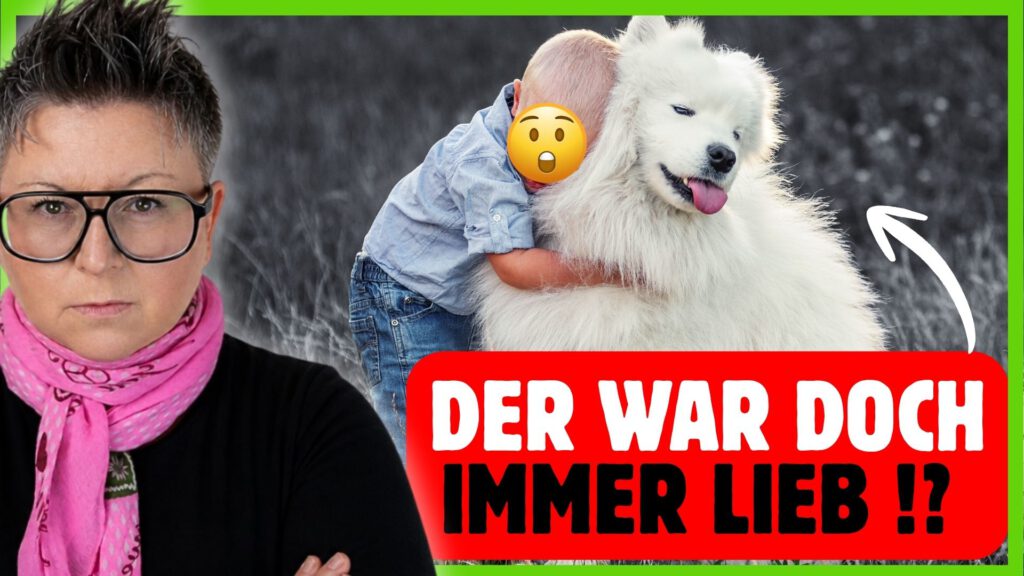 Hund und Kind: Diese Regeln schützen dein Kind wirklich